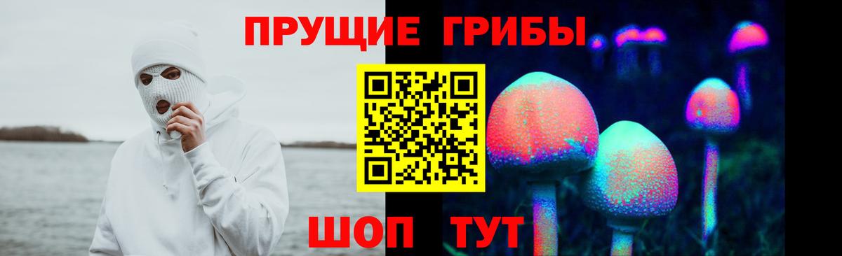 Псилоцибиновые грибы мухоморы Карачаевск